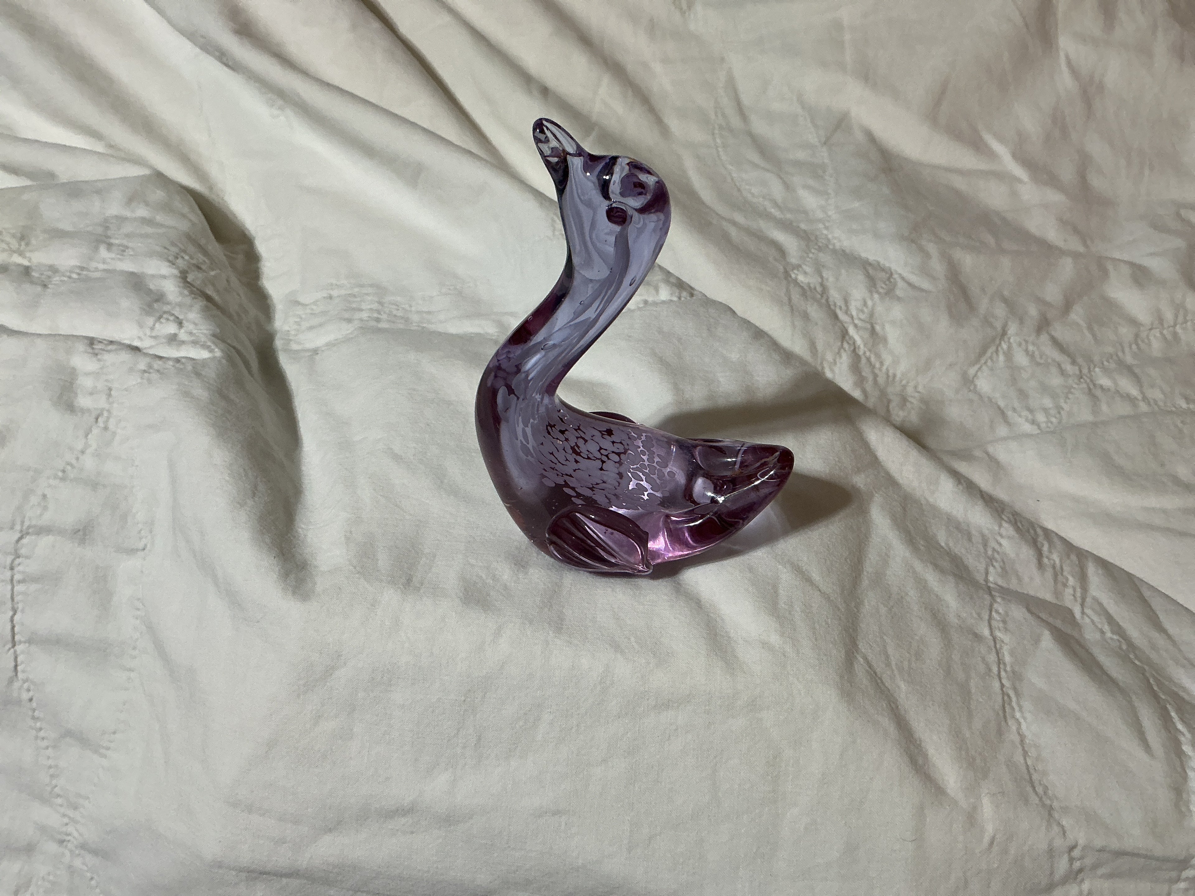 Swan