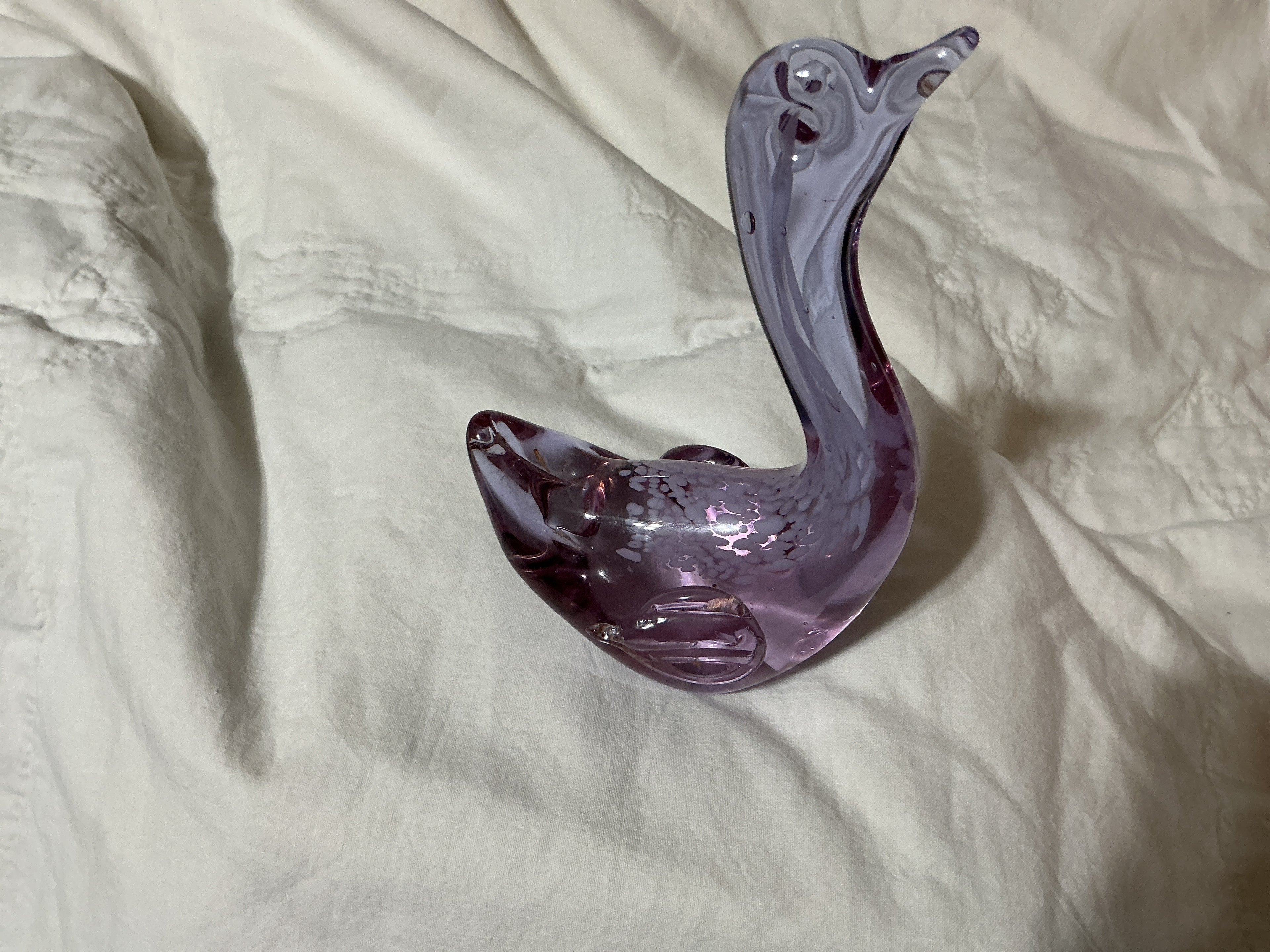 Swan